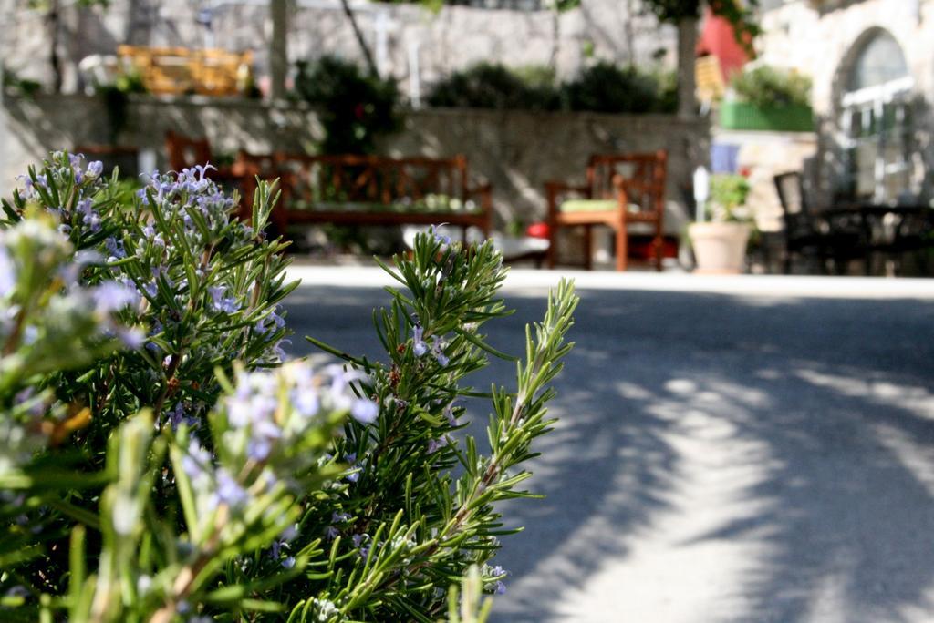 Apartment Vila Anka Slano Dış mekan fotoğraf
